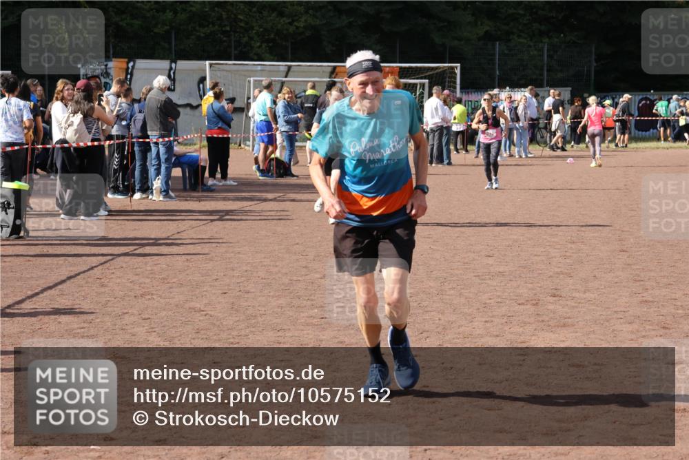 27.09.2026 - 35. Volkslauf durch das schöne Alstertal Strokosch-Dieckow http://msf.ph/oto/10575152 27.09.2026 12:34:42 Ziel 2029, 2252, 2263, 2389 meine-sportfotos.de