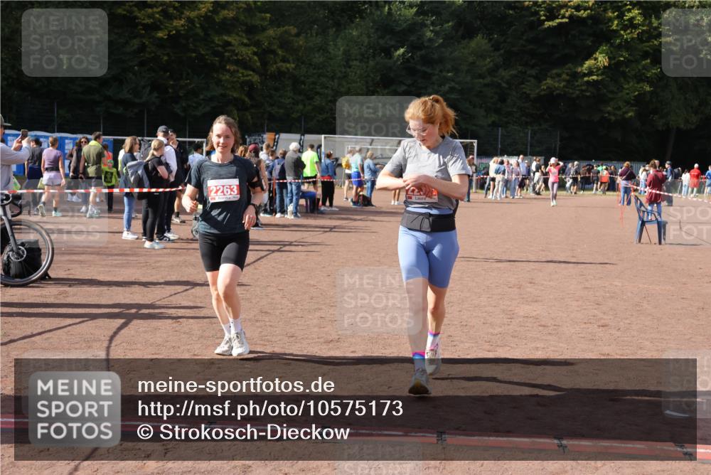 27.09.2026 - 35. Volkslauf durch das schöne Alstertal Strokosch-Dieckow http://msf.ph/oto/10575173 27.09.2026 12:34:47 Ziel 2029, 2252, 2263, 2389 meine-sportfotos.de