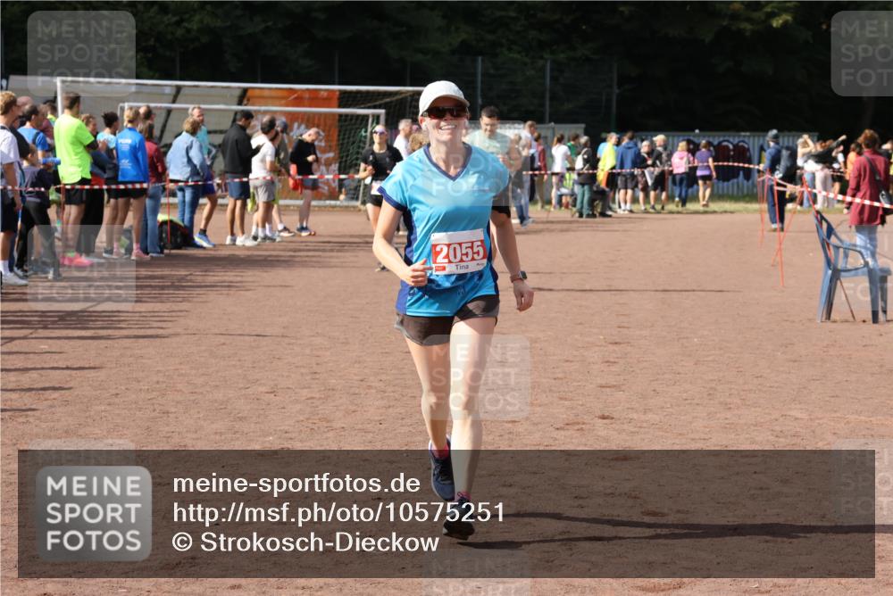 27.09.2026 - 35. Volkslauf durch das schöne Alstertal Strokosch-Dieckow http://msf.ph/oto/10575251 27.09.2026 12:29:38 Ziel 1081, 2000, 2053, 2055 meine-sportfotos.de