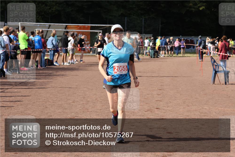 27.09.2026 - 35. Volkslauf durch das schöne Alstertal Strokosch-Dieckow http://msf.ph/oto/10575267 27.09.2026 12:29:38 Ziel 1081, 2000, 2053, 2055 meine-sportfotos.de
