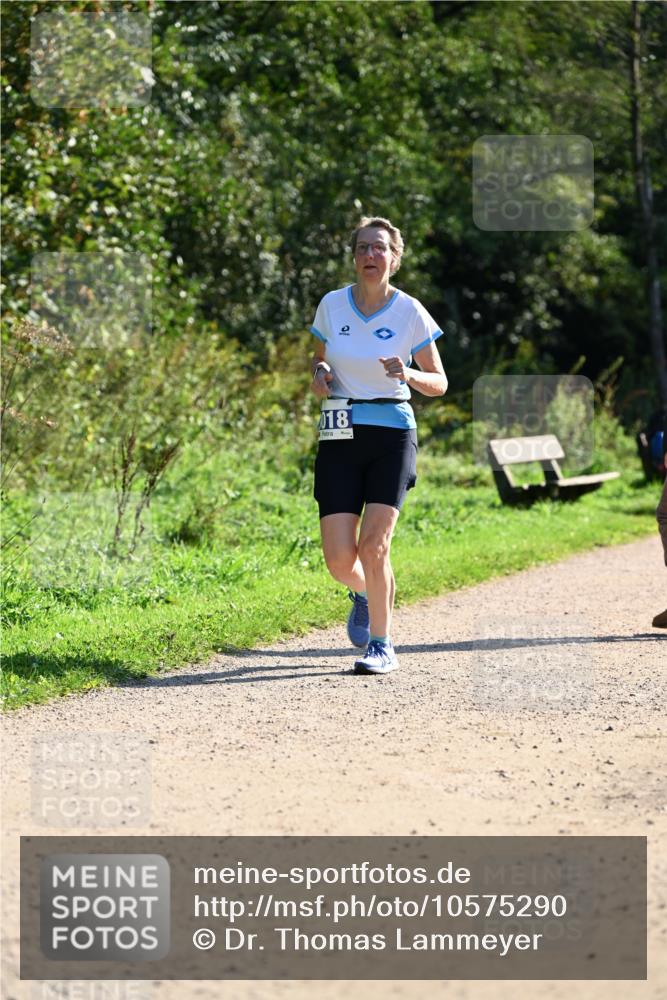 27.09.2026 - 35. Volkslauf durch das schöne Alstertal Dr. Thomas Lammeyer http://msf.ph/oto/10575290 27.09.2026 11:36:56 Laufen 018 meine-sportfotos.de