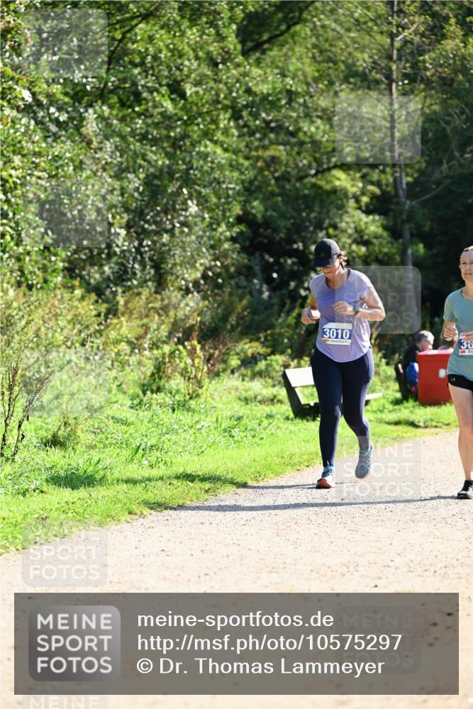 27.09.2026 - 35. Volkslauf durch das schöne Alstertal Dr. Thomas Lammeyer http://msf.ph/oto/10575297 27.09.2026 11:37:12 Laufen 3010, 38 meine-sportfotos.de