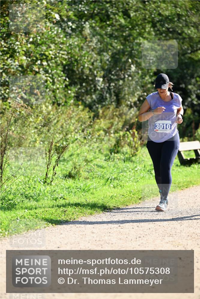27.09.2026 - 35. Volkslauf durch das schöne Alstertal Dr. Thomas Lammeyer http://msf.ph/oto/10575308 27.09.2026 11:37:13 Laufen 3010 meine-sportfotos.de