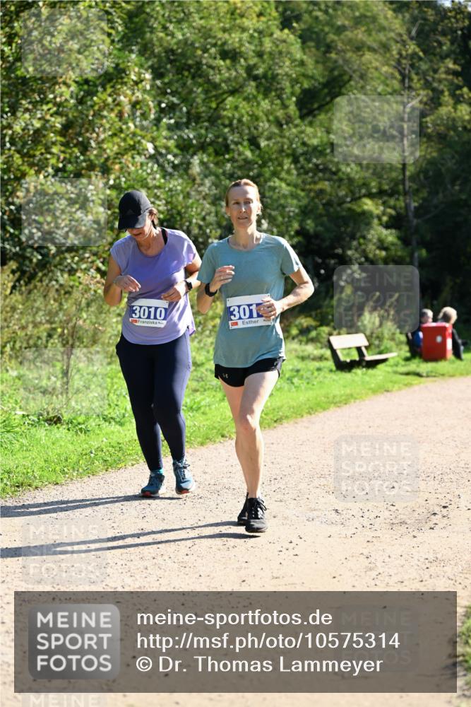 27.09.2026 - 35. Volkslauf durch das schöne Alstertal Dr. Thomas Lammeyer http://msf.ph/oto/10575314 27.09.2026 11:37:15 Laufen 3010, 301 meine-sportfotos.de