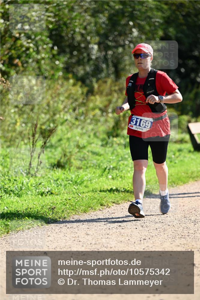 27.09.2026 - 35. Volkslauf durch das schöne Alstertal Dr. Thomas Lammeyer http://msf.ph/oto/10575342 27.09.2026 11:37:32 Laufen 3169 meine-sportfotos.de