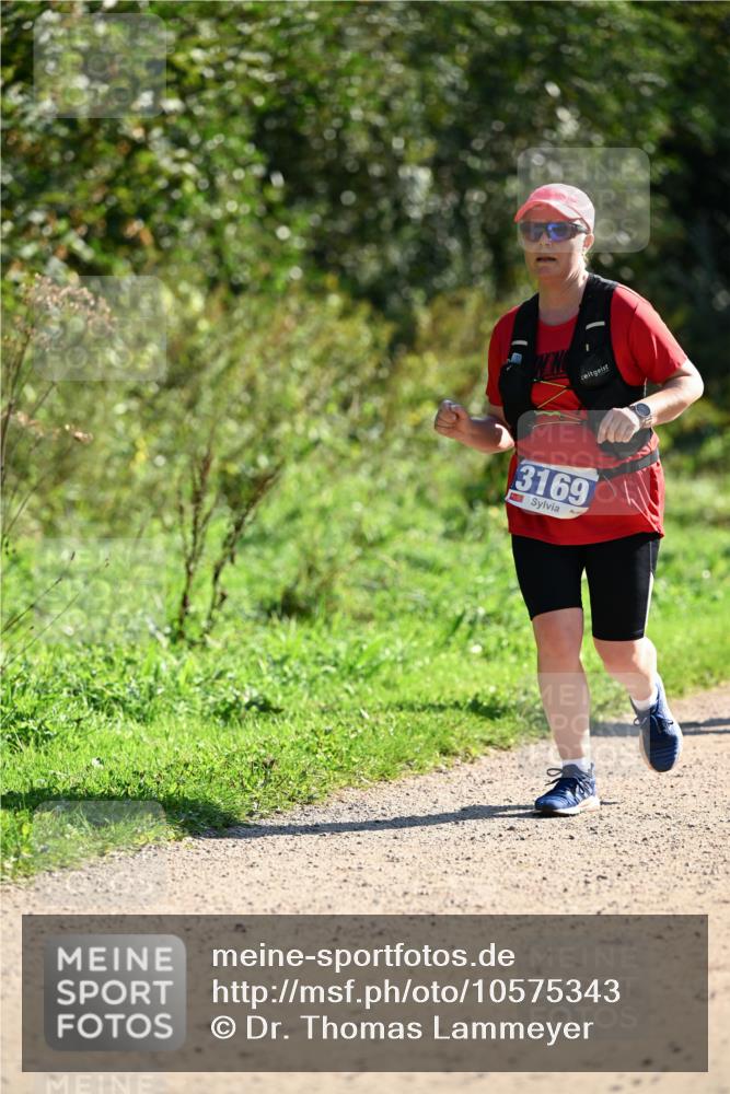 27.09.2026 - 35. Volkslauf durch das schöne Alstertal Dr. Thomas Lammeyer http://msf.ph/oto/10575343 27.09.2026 11:37:32 Laufen 3169 meine-sportfotos.de