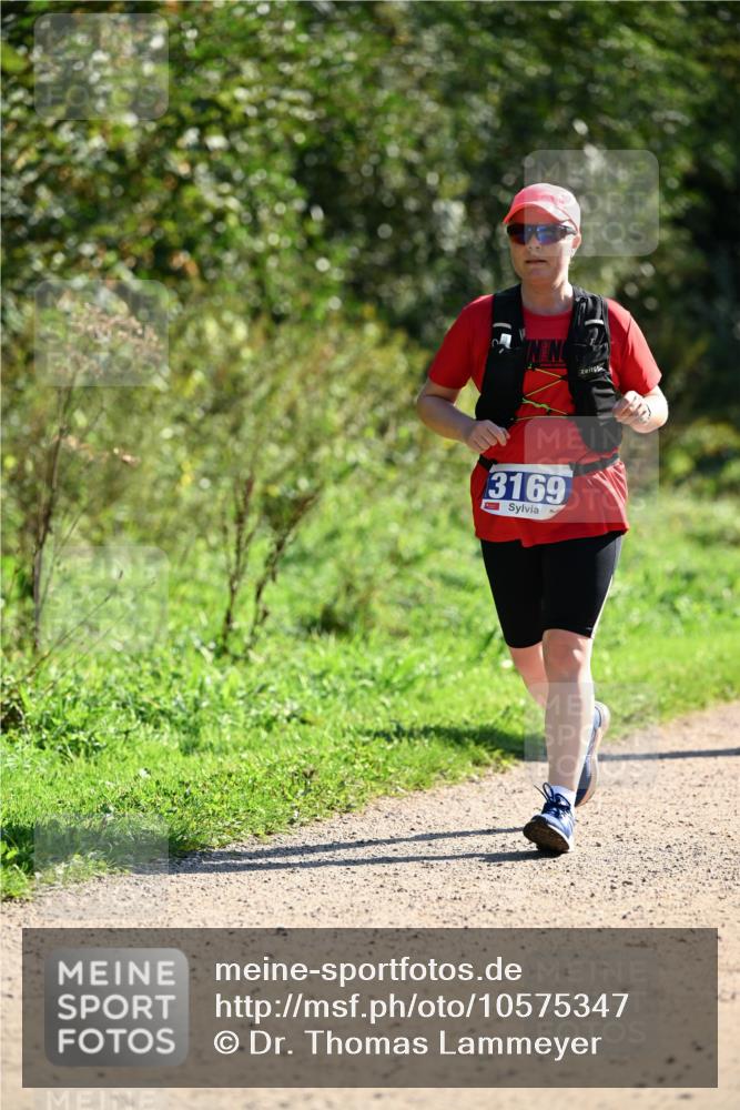 27.09.2026 - 35. Volkslauf durch das schöne Alstertal Dr. Thomas Lammeyer http://msf.ph/oto/10575347 27.09.2026 11:37:32 Laufen 3169 meine-sportfotos.de