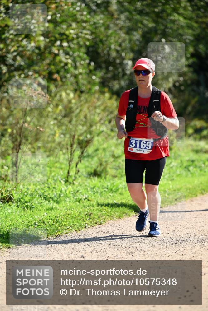 27.09.2026 - 35. Volkslauf durch das schöne Alstertal Dr. Thomas Lammeyer http://msf.ph/oto/10575348 27.09.2026 11:37:32 Laufen 3169 meine-sportfotos.de