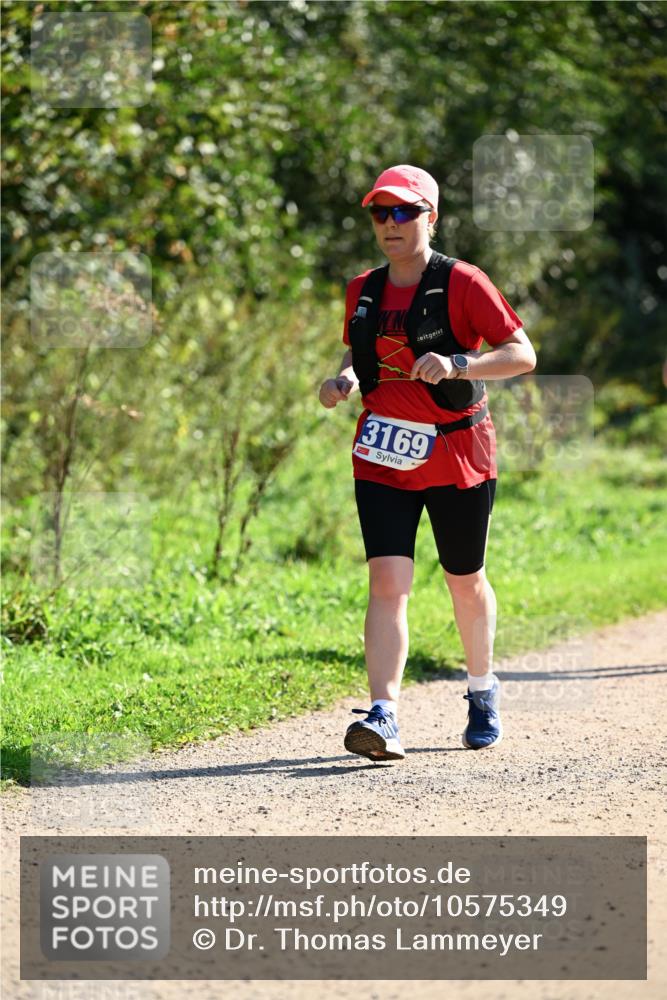 27.09.2026 - 35. Volkslauf durch das schöne Alstertal Dr. Thomas Lammeyer http://msf.ph/oto/10575349 27.09.2026 11:37:32 Laufen 3169 meine-sportfotos.de
