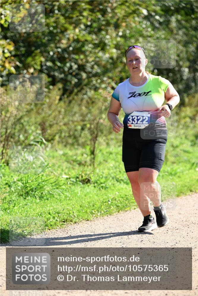 27.09.2026 - 35. Volkslauf durch das schöne Alstertal Dr. Thomas Lammeyer http://msf.ph/oto/10575365 27.09.2026 11:37:35 Laufen 3322 meine-sportfotos.de