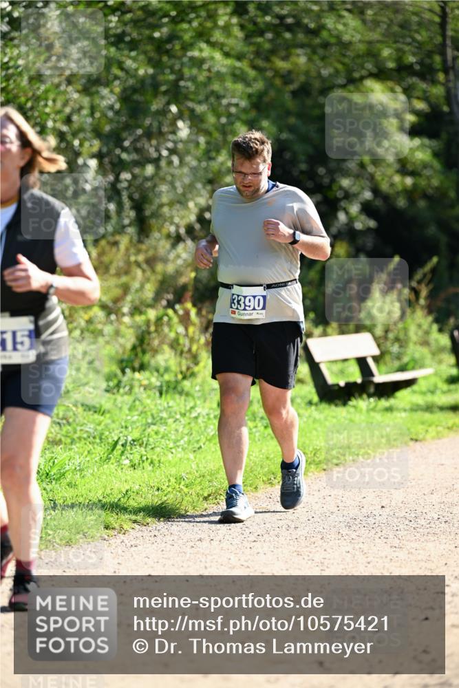 27.09.2026 - 35. Volkslauf durch das schöne Alstertal Dr. Thomas Lammeyer http://msf.ph/oto/10575421 27.09.2026 11:37:51 Laufen 15, 3390 meine-sportfotos.de