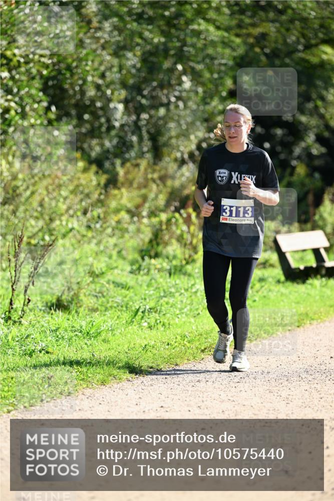27.09.2026 - 35. Volkslauf durch das schöne Alstertal Dr. Thomas Lammeyer http://msf.ph/oto/10575440 27.09.2026 11:37:55 Laufen 3113 meine-sportfotos.de