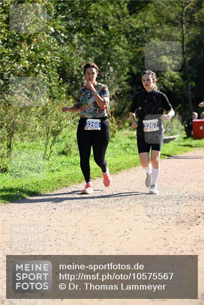 27.09.2026 - 35. Volkslauf durch das schöne Alstertal Dr. Thomas Lammeyer http://msf.ph/oto/10575567 27.09.2026 11:38:41 Laufen 3266, 3267 meine-sportfotos.de