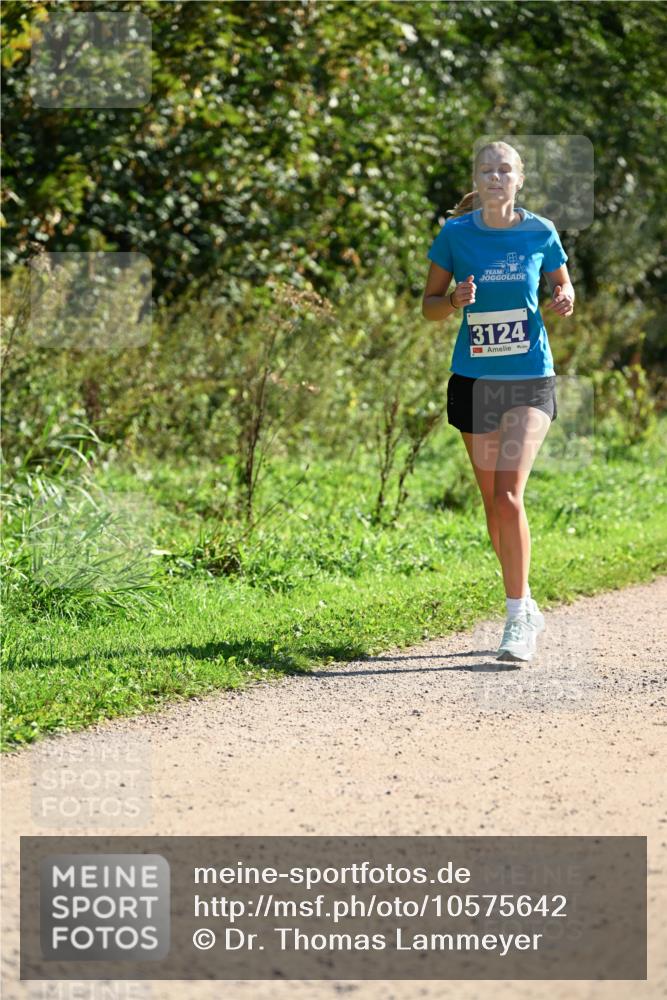 27.09.2026 - 35. Volkslauf durch das schöne Alstertal Dr. Thomas Lammeyer http://msf.ph/oto/10575642 27.09.2026 11:38:51 Laufen 3124 meine-sportfotos.de