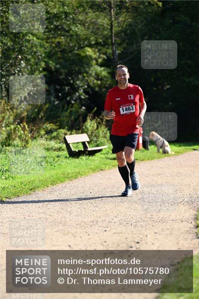 27.09.2026 - 35. Volkslauf durch das schöne Alstertal Dr. Thomas Lammeyer http://msf.ph/oto/10575780 27.09.2026 11:39:13 Laufen 1463 meine-sportfotos.de