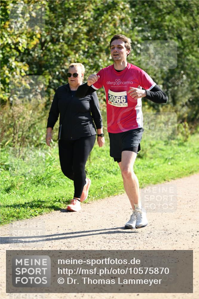 27.09.2026 - 35. Volkslauf durch das schöne Alstertal Dr. Thomas Lammeyer http://msf.ph/oto/10575870 27.09.2026 11:39:32 Laufen 00, 3066 meine-sportfotos.de