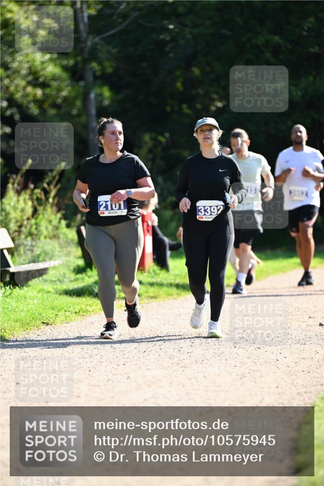 27.09.2026 - 35. Volkslauf durch das schöne Alstertal Dr. Thomas Lammeyer http://msf.ph/oto/10575945 27.09.2026 11:40:11 Laufen 2101, 3392 meine-sportfotos.de