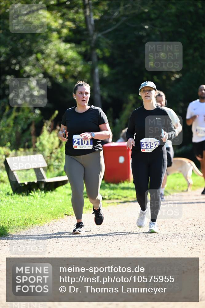 27.09.2026 - 35. Volkslauf durch das schöne Alstertal Dr. Thomas Lammeyer http://msf.ph/oto/10575955 27.09.2026 11:40:12 Laufen 2101, 3392 meine-sportfotos.de