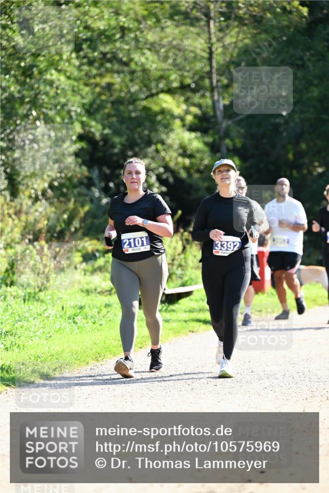 27.09.2026 - 35. Volkslauf durch das schöne Alstertal Dr. Thomas Lammeyer http://msf.ph/oto/10575969 27.09.2026 11:40:13 Laufen 2101, 3392 meine-sportfotos.de