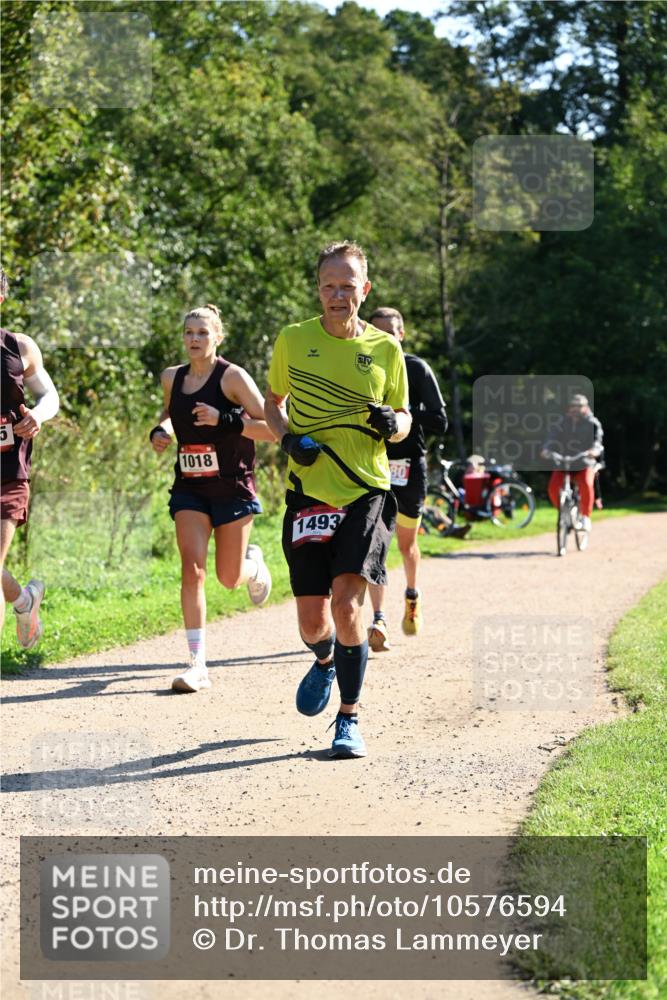 27.09.2026 - 35. Volkslauf durch das schöne Alstertal Dr. Thomas Lammeyer http://msf.ph/oto/10576594 27.09.2026 11:44:57 Laufen 1018, 1493, 80 meine-sportfotos.de