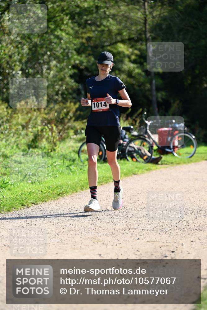 27.09.2026 - 35. Volkslauf durch das schöne Alstertal Dr. Thomas Lammeyer http://msf.ph/oto/10577067 27.09.2026 11:49:40 Laufen 1014 meine-sportfotos.de