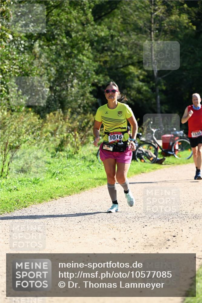 27.09.2026 - 35. Volkslauf durch das schöne Alstertal Dr. Thomas Lammeyer http://msf.ph/oto/10577085 27.09.2026 11:49:56 Laufen 1016, 1535 meine-sportfotos.de