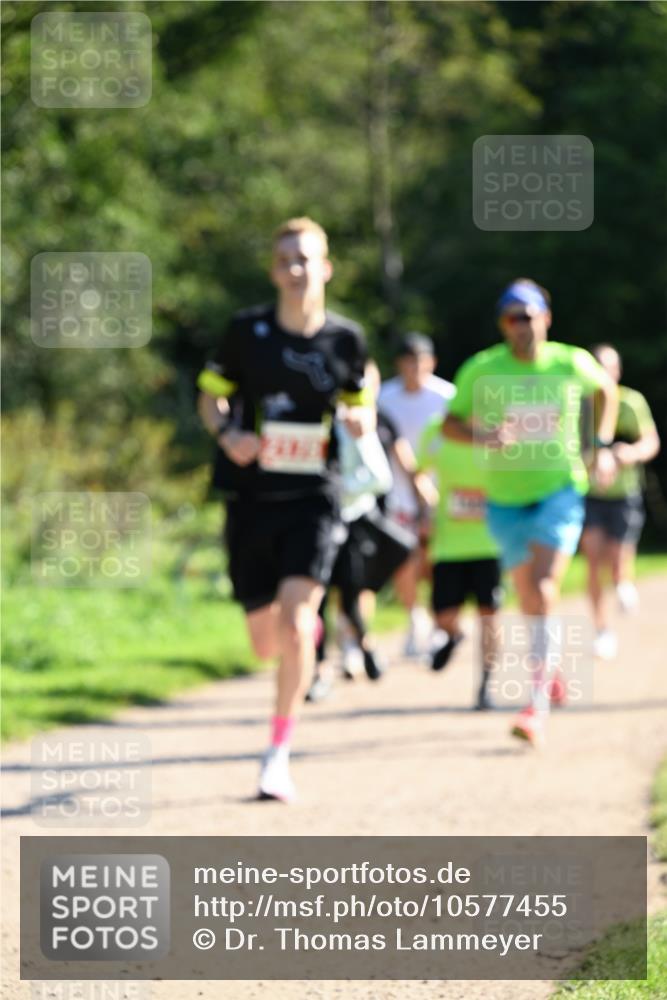27.09.2026 - 35. Volkslauf durch das schöne Alstertal Dr. Thomas Lammeyer http://msf.ph/oto/10577455 27.09.2026 11:52:59 Laufen  meine-sportfotos.de