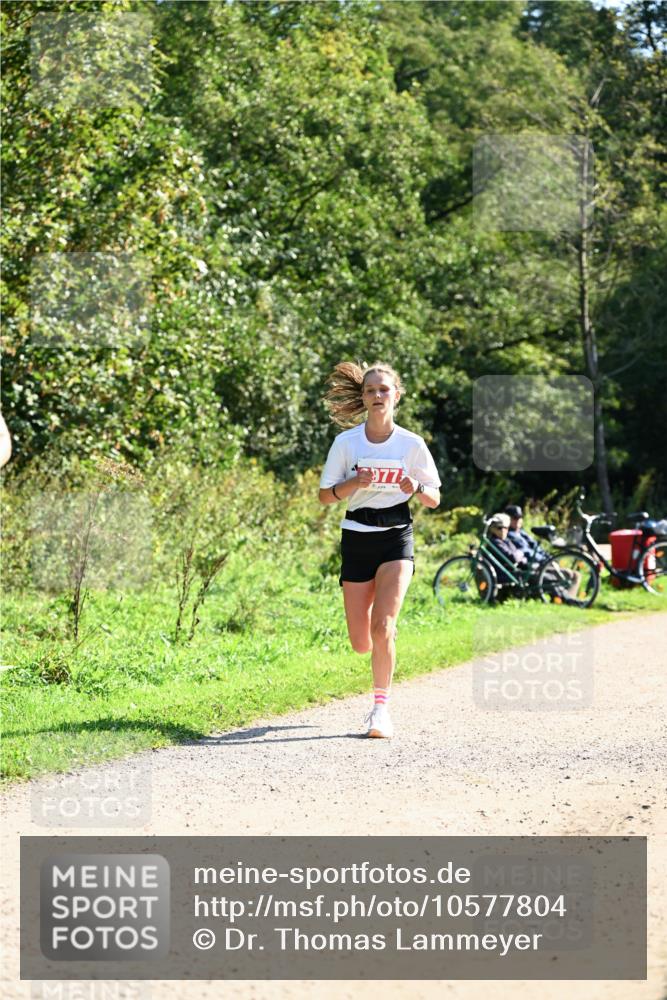 27.09.2026 - 35. Volkslauf durch das schöne Alstertal Dr. Thomas Lammeyer http://msf.ph/oto/10577804 27.09.2026 11:55:30 Laufen 977 meine-sportfotos.de