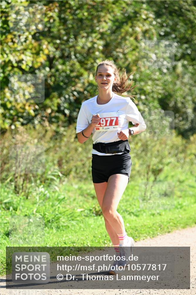 27.09.2026 - 35. Volkslauf durch das schöne Alstertal Dr. Thomas Lammeyer http://msf.ph/oto/10577817 27.09.2026 11:55:31 Laufen 977 meine-sportfotos.de
