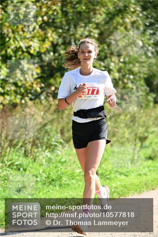 27.09.2026 - 35. Volkslauf durch das schöne Alstertal Dr. Thomas Lammeyer http://msf.ph/oto/10577818 27.09.2026 11:55:31 Laufen 977 meine-sportfotos.de