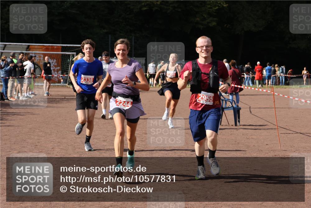 27.09.2026 - 35. Volkslauf durch das schöne Alstertal Strokosch-Dieckow http://msf.ph/oto/10577831 27.09.2026 12:32:44 Ziel 1084, 1645, 2244, 2305, 2338, 2955 meine-sportfotos.de