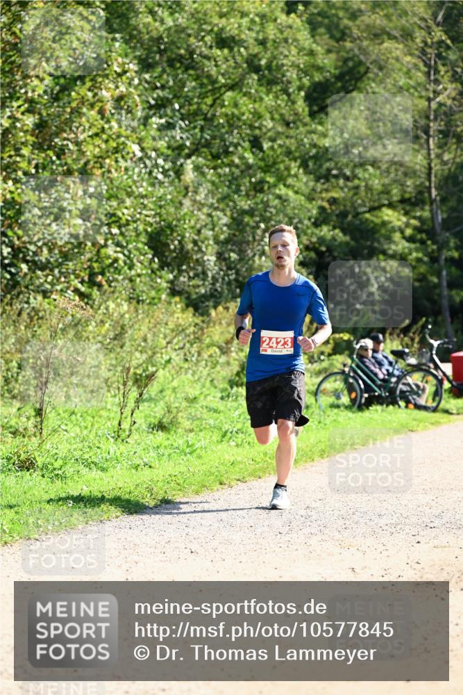 27.09.2026 - 35. Volkslauf durch das schöne Alstertal Dr. Thomas Lammeyer http://msf.ph/oto/10577845 27.09.2026 11:55:47 Laufen 2423 meine-sportfotos.de