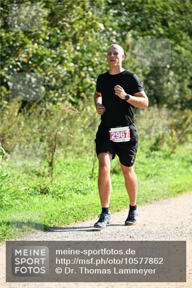 27.09.2026 - 35. Volkslauf durch das schöne Alstertal Dr. Thomas Lammeyer http://msf.ph/oto/10577862 27.09.2026 11:55:57 Laufen 2967 meine-sportfotos.de