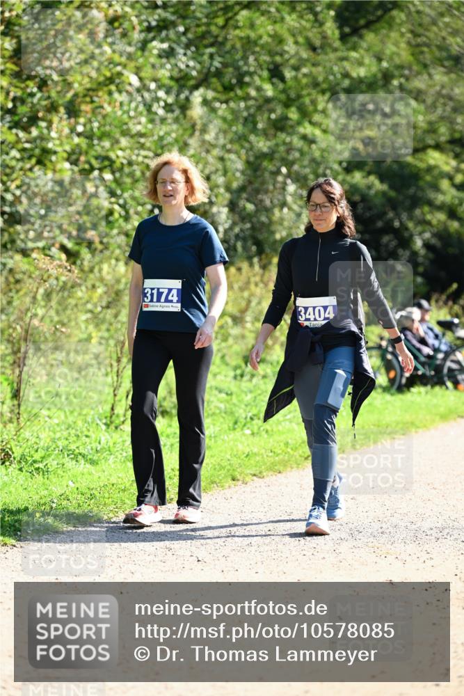 27.09.2026 - 35. Volkslauf durch das schöne Alstertal Dr. Thomas Lammeyer http://msf.ph/oto/10578085 27.09.2026 11:57:52 Laufen 3174, 3404 meine-sportfotos.de