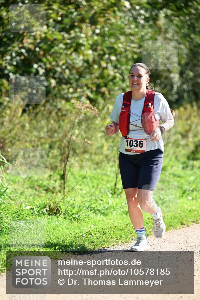 27.09.2026 - 35. Volkslauf durch das schöne Alstertal Dr. Thomas Lammeyer http://msf.ph/oto/10578185 27.09.2026 11:59:16 Laufen 1036 meine-sportfotos.de