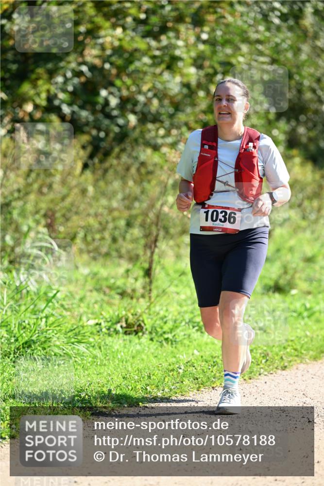27.09.2026 - 35. Volkslauf durch das schöne Alstertal Dr. Thomas Lammeyer http://msf.ph/oto/10578188 27.09.2026 11:59:17 Laufen 1036 meine-sportfotos.de