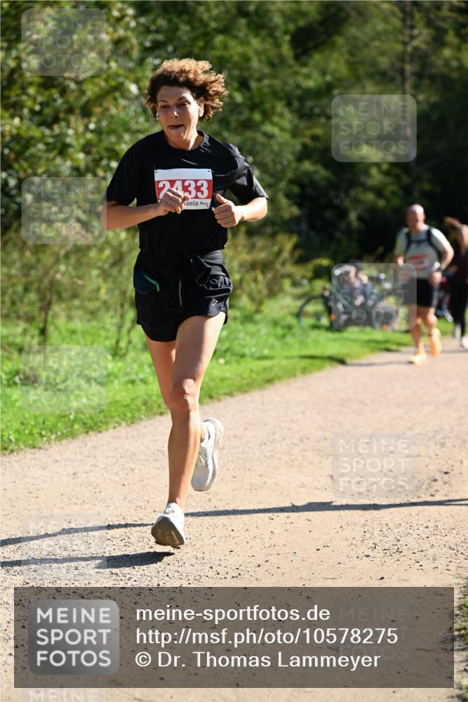 27.09.2026 - 35. Volkslauf durch das schöne Alstertal Dr. Thomas Lammeyer http://msf.ph/oto/10578275 27.09.2026 11:59:51 Laufen 2433 meine-sportfotos.de