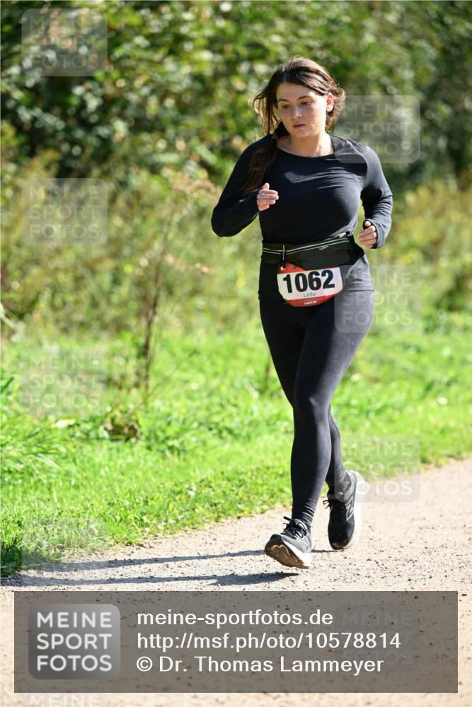 27.09.2026 - 35. Volkslauf durch das schöne Alstertal Dr. Thomas Lammeyer http://msf.ph/oto/10578814 27.09.2026 12:03:45 Laufen 1062 meine-sportfotos.de