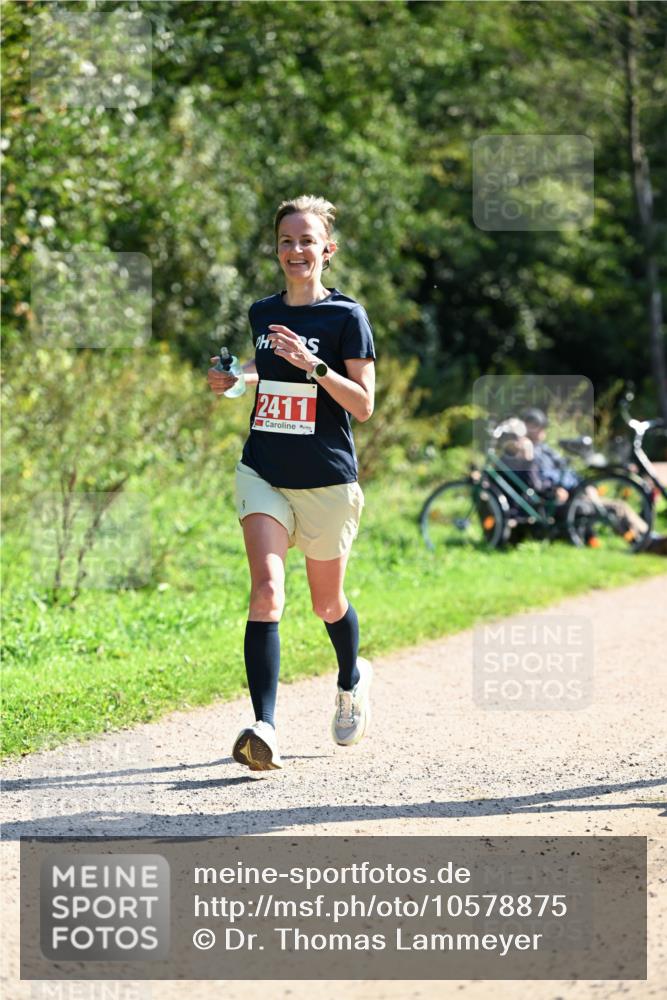 27.09.2026 - 35. Volkslauf durch das schöne Alstertal Dr. Thomas Lammeyer http://msf.ph/oto/10578875 27.09.2026 12:04:30 Laufen 2411 meine-sportfotos.de