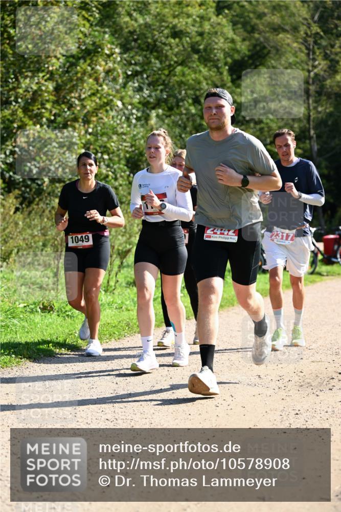 27.09.2026 - 35. Volkslauf durch das schöne Alstertal Dr. Thomas Lammeyer http://msf.ph/oto/10578908 27.09.2026 12:04:45 Laufen 1049, 2442, 2317 meine-sportfotos.de