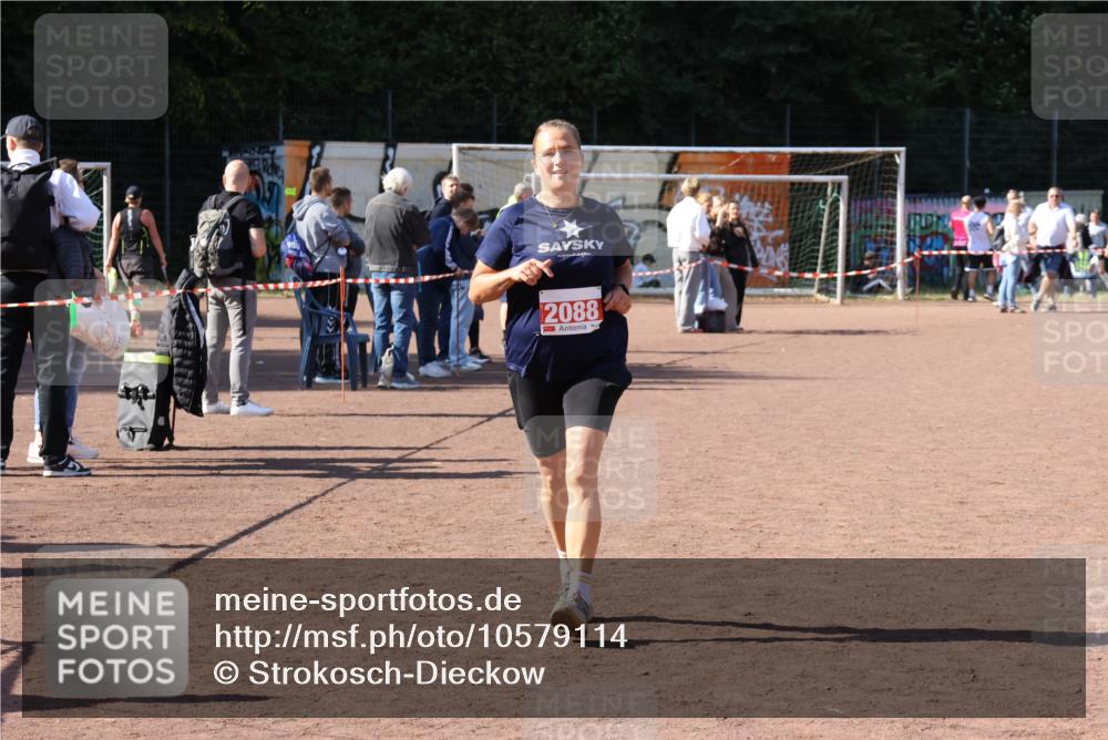 27.09.2026 - 35. Volkslauf durch das schöne Alstertal Strokosch-Dieckow http://msf.ph/oto/10579114 27.09.2026 12:47:32 Ziel 2088 meine-sportfotos.de