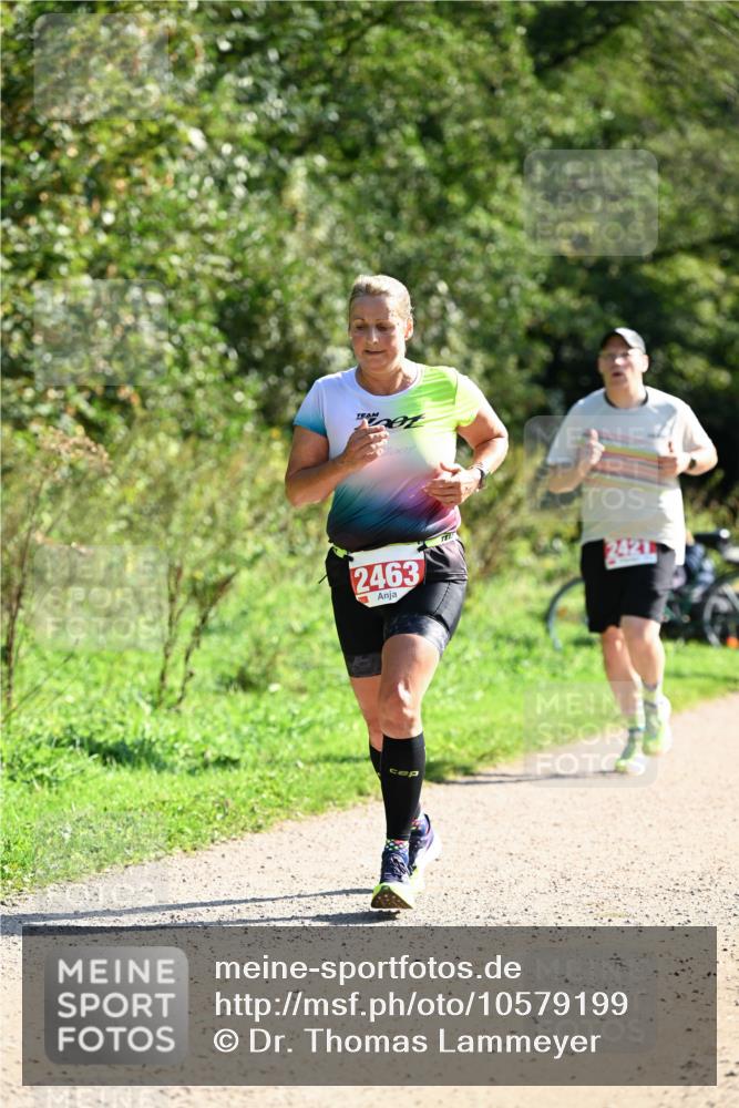 27.09.2026 - 35. Volkslauf durch das schöne Alstertal Dr. Thomas Lammeyer http://msf.ph/oto/10579199 27.09.2026 12:06:41 Laufen 2463 meine-sportfotos.de