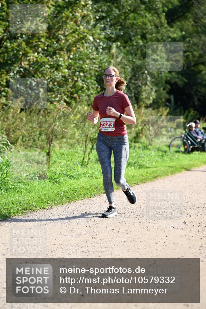 27.09.2026 - 35. Volkslauf durch das schöne Alstertal Dr. Thomas Lammeyer http://msf.ph/oto/10579332 27.09.2026 12:08:18 Laufen 2323 meine-sportfotos.de