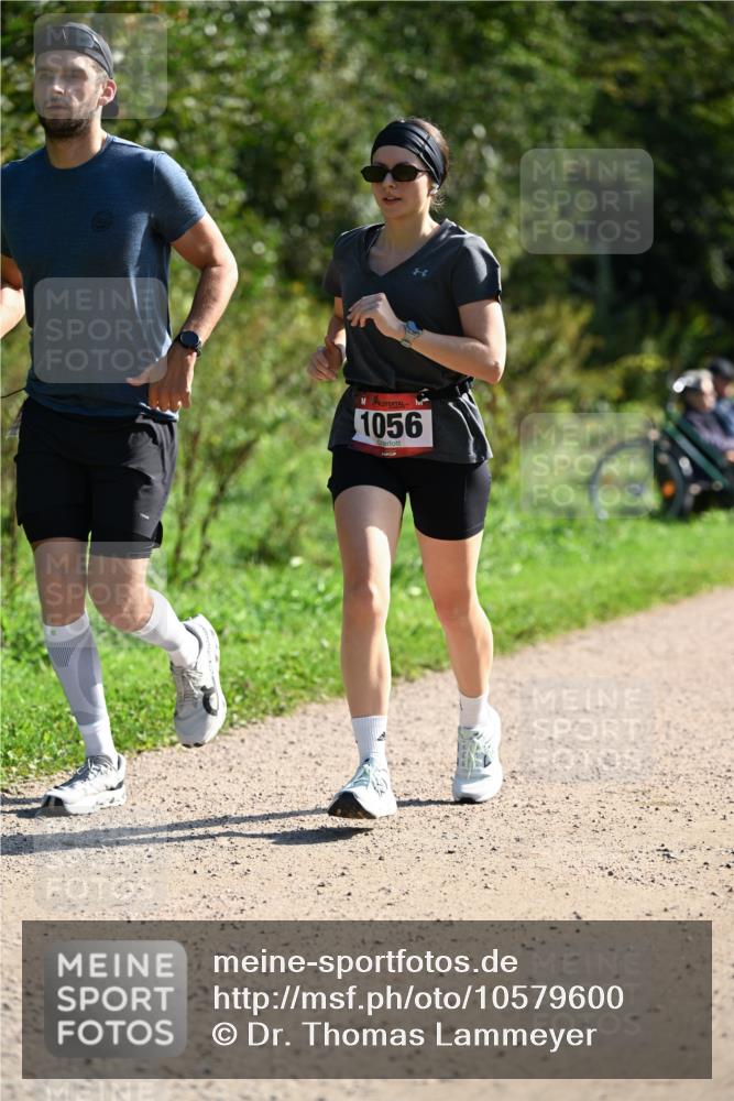 27.09.2026 - 35. Volkslauf durch das schöne Alstertal Dr. Thomas Lammeyer http://msf.ph/oto/10579600 27.09.2026 12:09:56 Laufen 1056 meine-sportfotos.de