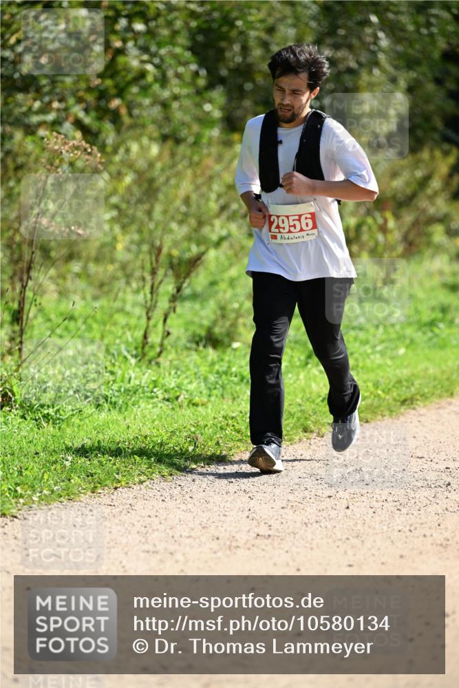27.09.2026 - 35. Volkslauf durch das schöne Alstertal Dr. Thomas Lammeyer http://msf.ph/oto/10580134 27.09.2026 12:13:09 Laufen 2956 meine-sportfotos.de
