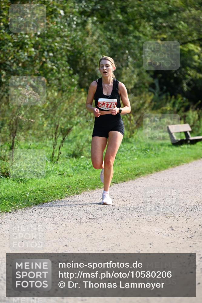27.09.2026 - 35. Volkslauf durch das schöne Alstertal Dr. Thomas Lammeyer http://msf.ph/oto/10580206 27.09.2026 12:13:29 Laufen 2378 meine-sportfotos.de