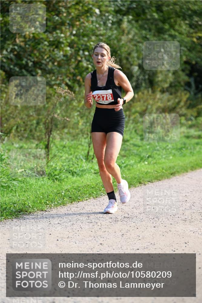 27.09.2026 - 35. Volkslauf durch das schöne Alstertal Dr. Thomas Lammeyer http://msf.ph/oto/10580209 27.09.2026 12:13:29 Laufen 2378 meine-sportfotos.de