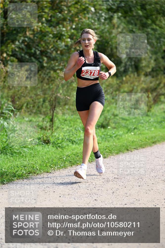 27.09.2026 - 35. Volkslauf durch das schöne Alstertal Dr. Thomas Lammeyer http://msf.ph/oto/10580211 27.09.2026 12:13:29 Laufen 2378 meine-sportfotos.de