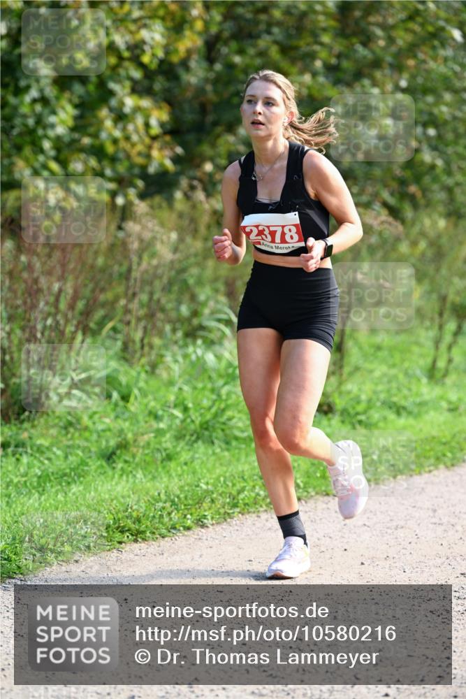 27.09.2026 - 35. Volkslauf durch das schöne Alstertal Dr. Thomas Lammeyer http://msf.ph/oto/10580216 27.09.2026 12:13:30 Laufen 2378 meine-sportfotos.de