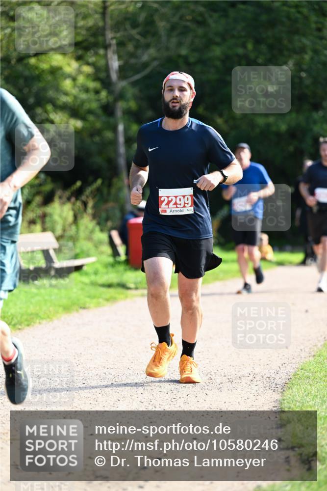 27.09.2026 - 35. Volkslauf durch das schöne Alstertal Dr. Thomas Lammeyer http://msf.ph/oto/10580246 27.09.2026 12:13:59 Laufen 2299 meine-sportfotos.de